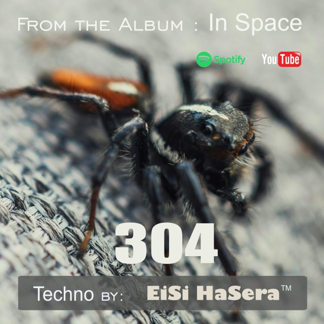 304