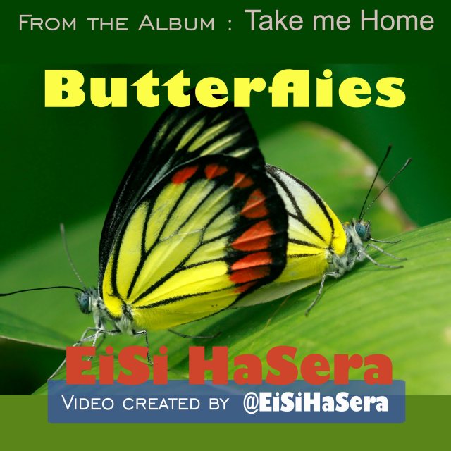 Butterflies