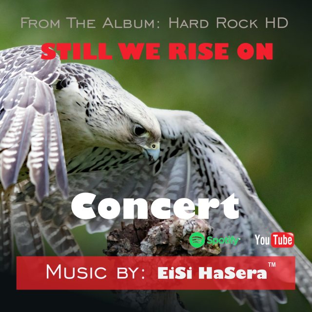 STILL WE RISE ON (Concert)