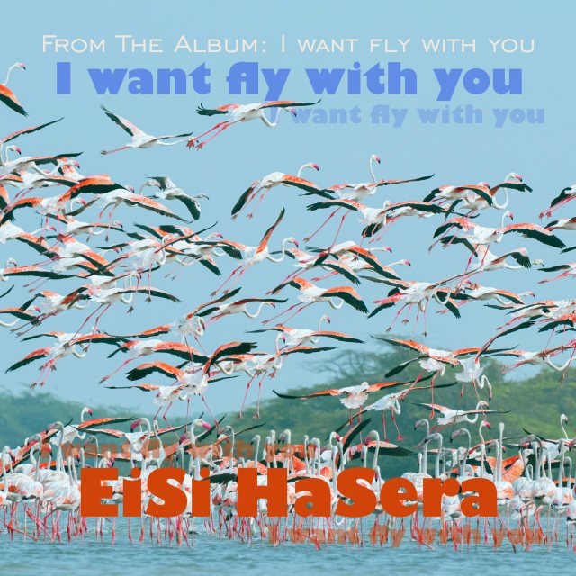 Fly with Me
