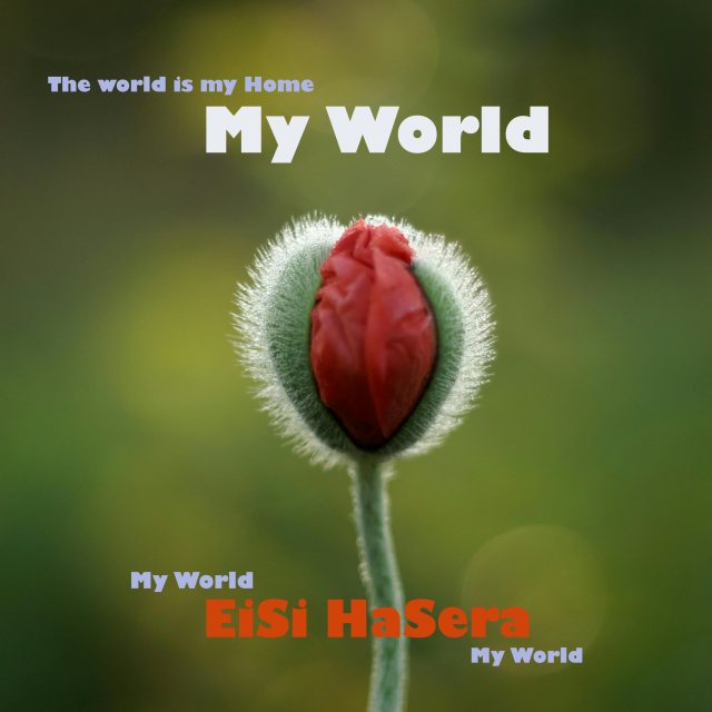 My World